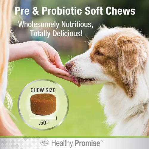 Vista 5 de Four Paws Healthy Promise Pre y probióticos para perros masticables suaves 90 unidades Savory chicken flavor soft chews, 1 billion CFU, with