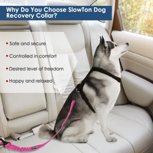 Vista 40 de SlowTon Cinturón de seguridad para perro, correa de cinturón de seguridad ajustable para perro, 2 en 1, cinturón de seguridad para perro