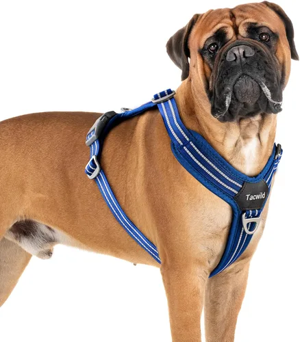 Vista 27 de Arnés sin tirones para perro, chaleco reflectante ajustable con broche de metal, malla suave transpirable sin estrangulamiento para cachorro, fácil