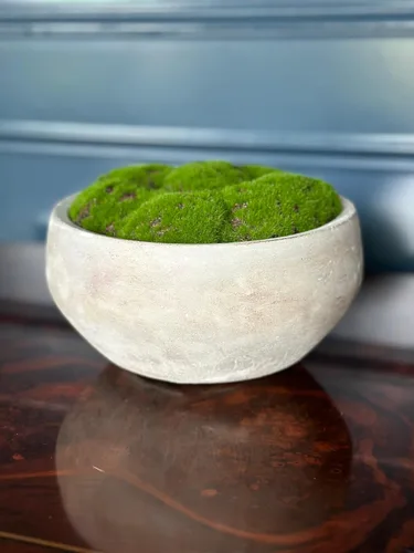 Vista 7 de Cuenco de musgo de cemento pintado a mano, 8 pulgadas, centro de mesa de musgo artificial, cuenco decorativo para mesa de café