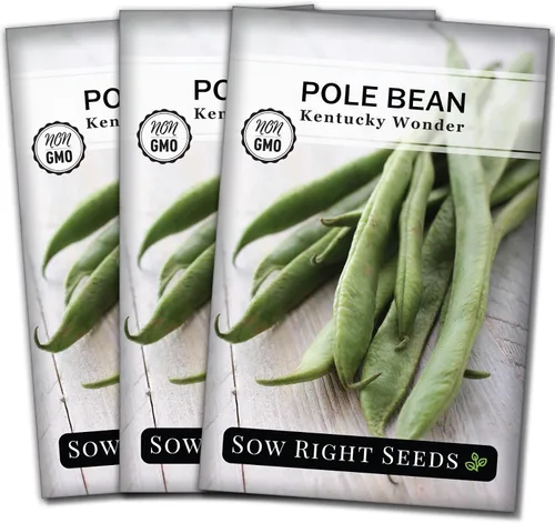 Vista 8 de Sow Right Seeds - Semillas de frijol Wonder Pole de Kentucky para plantar - Paquete de reliquia sin OMG con instrucciones para plantar un huerto