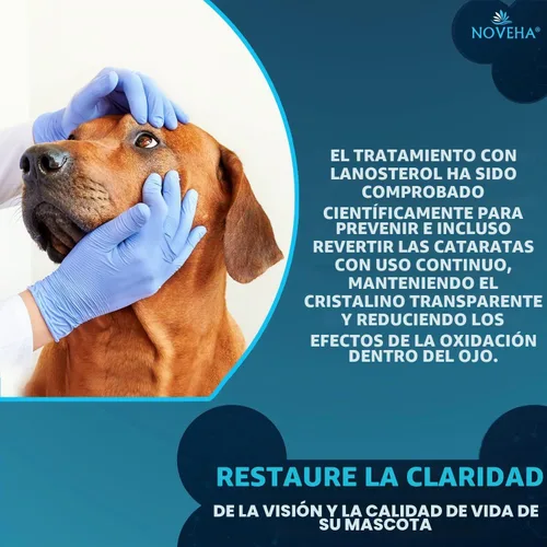 Vista 7 de NOVEHA Gotas para Mascotas Solución Avanzada de Lanosterol + NAC (2 x 10 mL)