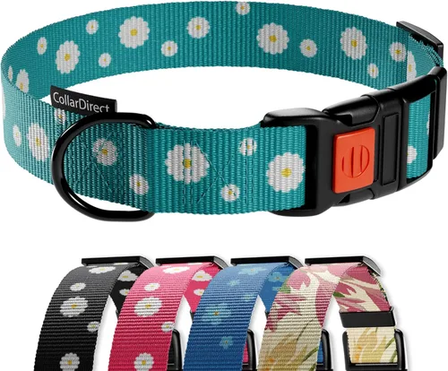 Vista 21 de Collar de perro de nailon con patrón floral aguamarina de 12 a 16 pulgadas