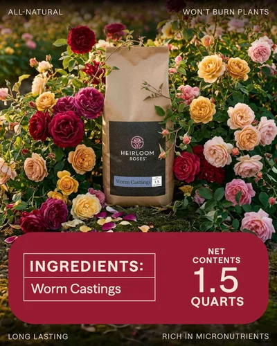 Vista 6 de Fundición de gusano de 1.5 cuartos de galón de Heirloom Roses - Fundición de gusano para jardinería