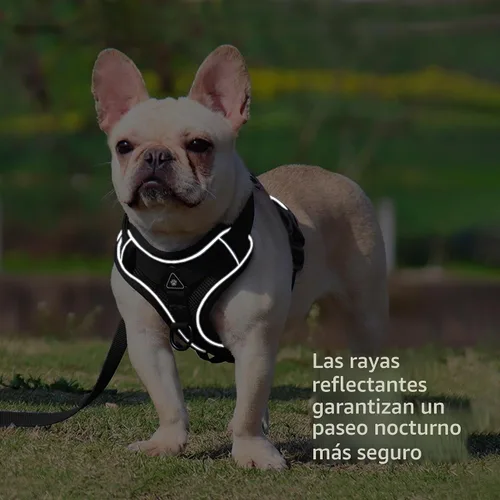 Vista 5 de Arnés para perro Jolifield sin tirones con juego de correa para perros pequeños, arnés de chaleco para gatos con clip frontal ajustable reflectante