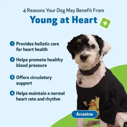 Vista 9 de Pet Wellbeing Young at Heart para perros - Apoyo a la salud cardíaca para personas mayores, bienestar cardiovascular con espino y agripalma