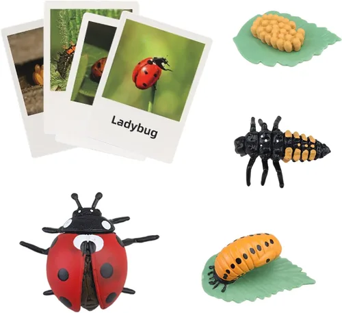 Vista 10 de Figuras del Ciclo de Vida de Animales Montessori con Tarjetas Flash, Juguetes de Figuritas de Animales Realistas, Juego Educativo de Emparejamiento