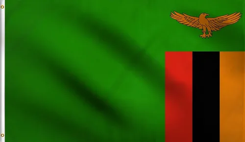 Vista 121 de DMSE - Bandera nacional beninesa beninesa de la República de África Occidental, 2 x 3 pies, 100 % poliéster, 100 % poliéster, resistente a los rayos