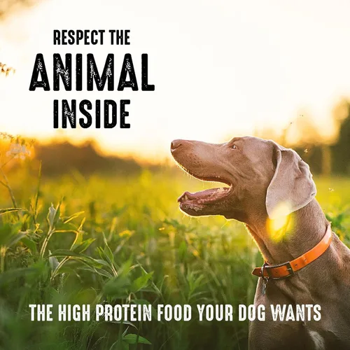 Vista 7 de Crave Comida con proteína para perros, libre de granos, adulto