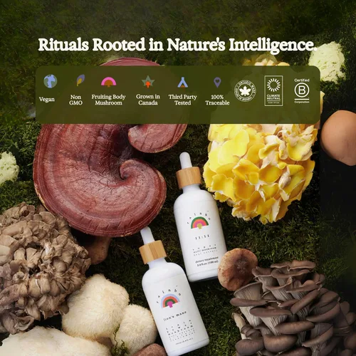 Vista 5 de Rainbo - Tintura de hongos Cordyceps - Suplemento de hongo de extracto dual - Apoyo inmunológico, energía, suplemento Cordyceps líquido, vegano, sin