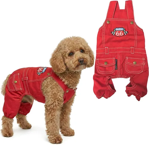 Vista 62 de Parisian Pet Camisa para perro de Amazonia - Ropa de algodón para perros pequeños - Elegante traje tropical para perros - Ropa ligera y suave