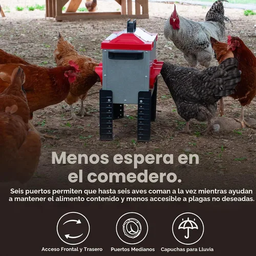 Vista 4 de RentACoop - Comedero metálico para aves de corral de 15 libras con 6 puertos y patas ajustables