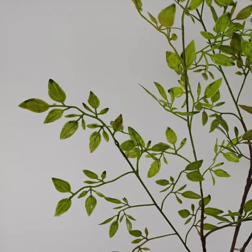 Vista 6 de FQQWEE Tallos de hojas artificiales de bambú de 43.4 pulgadas de largo, racimo de plantas artificiales de Nandina vegetación, ramas de ficus, 1