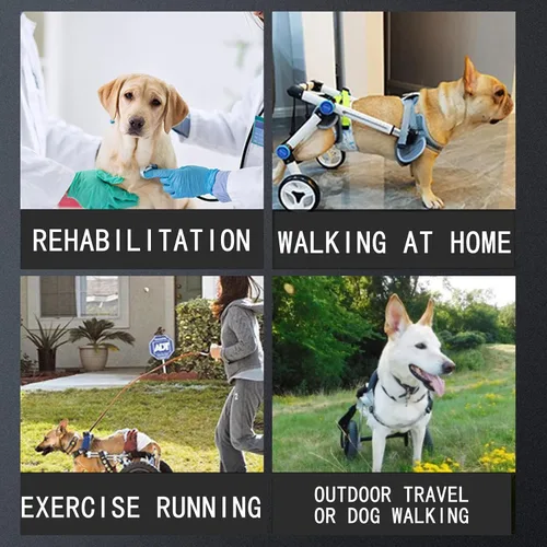 Vista 3 de Silla de ruedas para perro, silla de ruedas ligera para patas traseras, carrito ajustable para mascotas con ruedas para perros con patas traseras