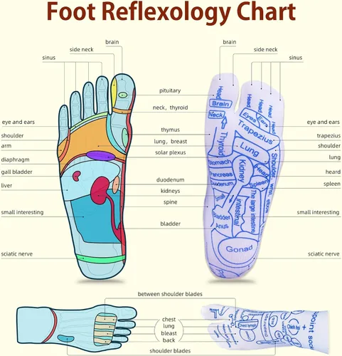 Vista 5 de Calcetines de masaje de pies y reflexología para aliviar el dolor
