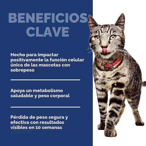 Vista 4 de Hill's Science Diet Peso Perfecto, Adulto 1-6, Apoyo para el Manejo del Peso, Alimento Seco para Gatos, Receta de Pollo, Bolsa de 3 libras