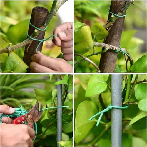 Vista 4 de YDSL Alambre Suave para Plantas de 66 Pies, Ataduras de Jardín Verdes con Giro para Plantas, Organización de Oficina y Hogar (Diámetro - 2.5MM)