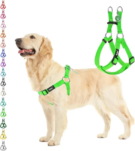 Vista 53 de Pupteck - Arnés para perros sin jalar, suave, ajustable, de nailon, talla básica, chaleco para cachorro, para caminar al aire libre con etiqueta
