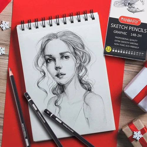 Vista 6 de PANDAFLY Juego de lápices de dibujo profesional, 12 lápices de grafito (14B a 2H), ideal para dibujar arte, bocetos, sombreado, lápices de artista