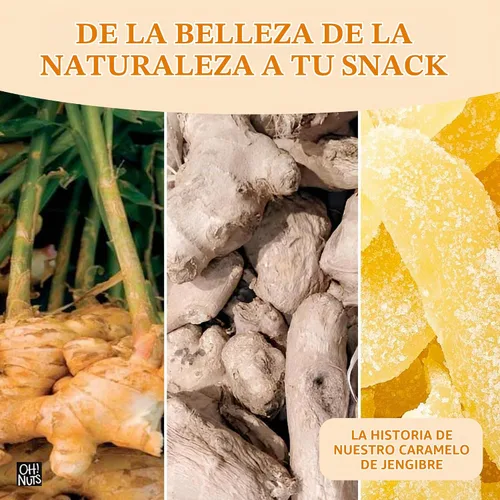 Vista 6 de Oh! Nuts Caramelo de jengibre – 1 libra – Rebanadas de frutas secas – con revestimiento de azúcar cristalizado confitado – Bocados de frutas