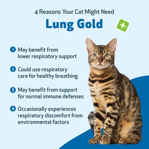 Vista 9 de Pet Wellbeing Oro pulmonar para gatos – Apoyo inmunológico pulmonar, salud respiratoria inferior, vías respiratorias abiertas, respiración normal