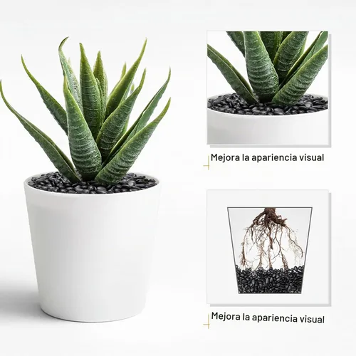 Vista 3 de Pulovin Piedras negras de 2.5 libras para plantas de interior, suculentas, bambú, jarrón, rocas para plantas de 3/8 pulgadas para macetas de Negro