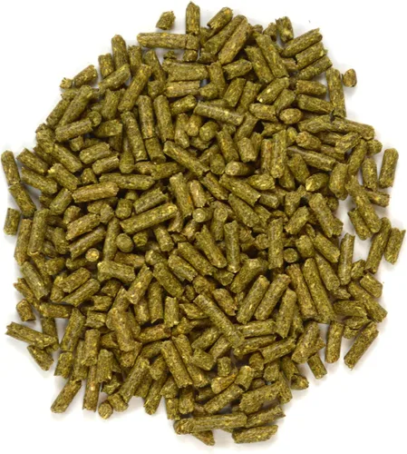 Vista 5 de Oxbow Animal Health Garden Select Chinchilla Food, receta inspirada en el jardín para chinchillas de todas las edades, sin soja o trigo, sin OMG
