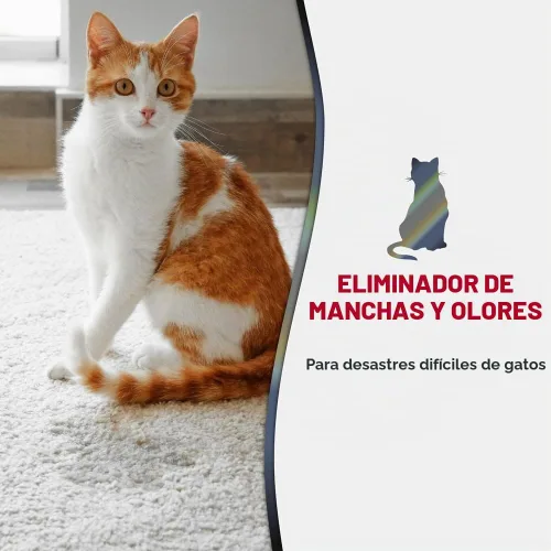 Vista 3 de Nature's Miracle® Eliminador Avanzado de Manchas y Olores, 128 fl oz, Aroma Fresco, Fórmula Enzimática para Desórdenes Severos para Desastres