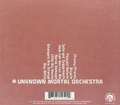 Vista 2 de Unknown Mortal Orchestra