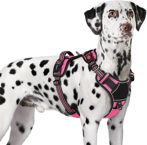 Vista 16 de Eagloo Arnés para perro de tamaño pequeño, fácil de llevar con 3 hebillas, arnés ajustable sin tirones para mascotas con sistema MOLLE, chaleco