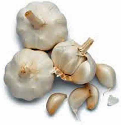 Vista 2 de Bombilla de ajo (1 libra), bombilla de ajo de cuello suave de California fresca para plantar, comer y cultivar tu propio ajo, marca Country Creek
