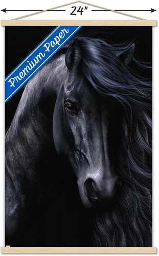Vista 3 de Trends International Laurie Prindle - The Black Wall Poster, 22.37" x 34.00", Premium Print and Beechwood Hanger Bundle