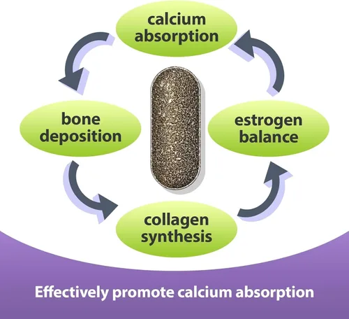 Vista 3 de EuBone Suplemento para la salud ósea con calcio y magnesio, vitamina D3 K2 que apoya la densidad y la fuerza ósea, a base de plantas, sin gluten