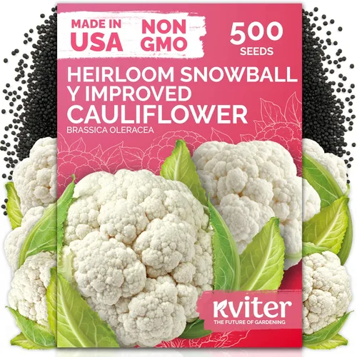 Vista 18 de KVITER 3000 semillas de espinaca egipcias - Molokhia (Corchorus Olitorius) - Hojas de yute, Ewedu, Día de Rau, Semillas de vegetales Saluyot