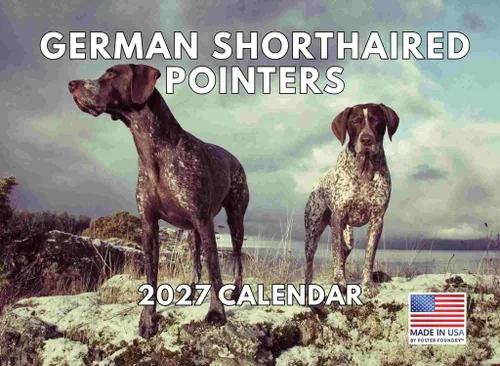 Vista 8 de Calendario mensual de pared Airedale Terrier Dog 2027