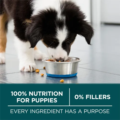Vista 8 de Purina ONE - Alimento para cachorros de raza grande en seco, fórmula +Plus de raza grande, bolsa de 16.5 libras