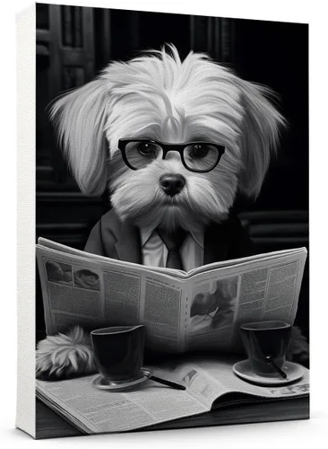 Vista 110 de Thuan Affenpinscher - Póster de lienzo con tus fotos, arte de pared para decoración del hogar, regalo conmemorativo para amantes de las mascotas