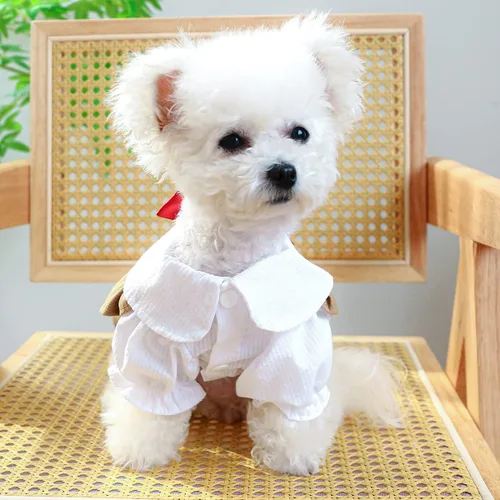 Vista 3 de Vestido de perro para perros pequeños, elegante vestido de princesa con lazo, vestido de verano cómodo para cachorros, ropa de algodón transpirable