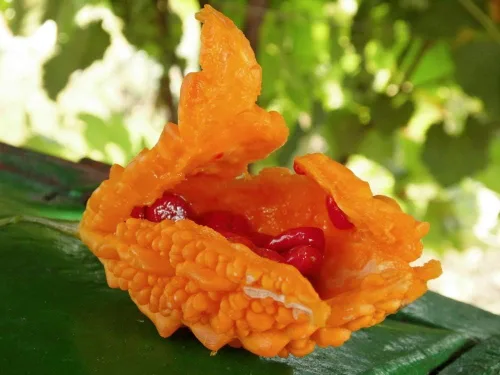 Vista 4 de Semillas de calabaza de melón amargo chino (Momordica Charantia) Vegetal sin OMG para plantar