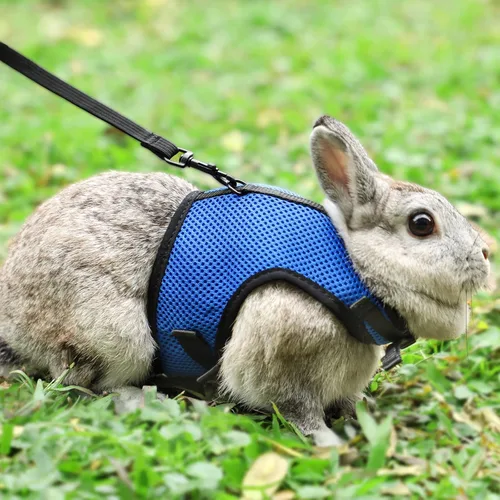 Vista 10 de PETTOM Arnés para conejos con correa elástica, lindo arnés ajustable con hebilla, chaleco de malla transpirable para gatitos y mascotas pequeñas