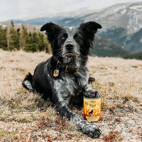 Vista 6 de Earthborn Holistic Receta de carne K95 Comida húmeda enlatada sin granos para perros