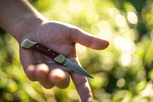 Vista 2 de Uncle Henry LB3 Brown Bear - Cuchillo plegable de acero inoxidable de alto carbono de 5.1 pulgadas con hoja de punta de clip de 2.2 pulgadas y mango