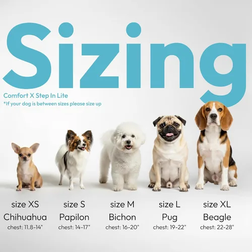 Vista 2 de Gooby Comfort X Step in Lite - Arnés para perro, sin estrangulamiento, sin escape, con malla ligera y transpirable, arnés para perros pequeños solo