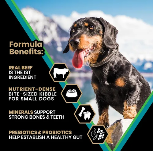 Vista 2 de VICTOR Classic - Hi-Pro para raza pequeña adulta, 5 libras Real Beef 1st Ingredient, Small Breed Bite-Sized Kibble, Immune & Digestive Support