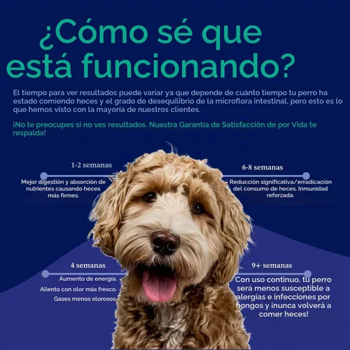 Vista 4 de Probiótico - Tratamiento de coprofagia para perros - Detén y evita que el perro coma caca - No comer heces, disuasorio y prevención - Probióticos