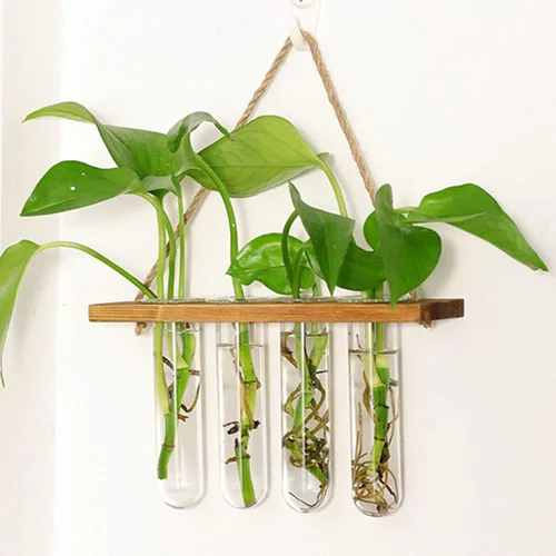 Vista 5 de Maceta colgante de pared terrario con soporte de madera, mini tubo de ensayo, floreros de flores retro colgantes de vidrio propagador para plantas