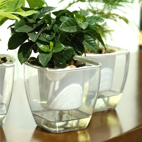 Vista 3 de FENGZHITAO - Maceta de riego automático, macetas de plástico transparente con riego automático, maceta cuadrada para todas las plantas de casa