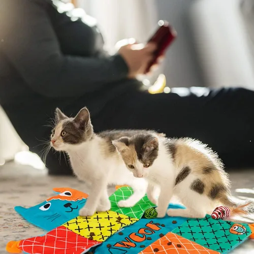Vista 7 de AWOOF Linda alfombra suave de hierba gatera, juguetes interactivos para gatos