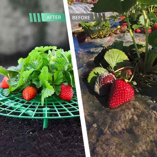 Vista 3 de SooGree Paquete de 5 soportes de fresa, soportes de fresa para jardín, jaula de plantas de frutas, bandeja de plástico para mantener las fresas