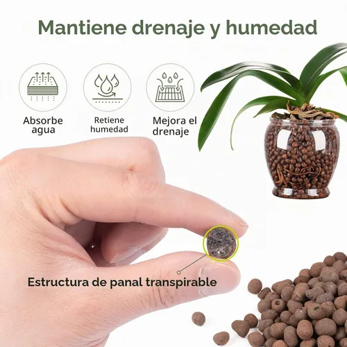 Vista 5 de GASPRO 5lb de bolas de arcilla expandida orgánicas para plantas, 100% naturales, bolas Leca para el desarrollo de raíces en macetas, mezcla